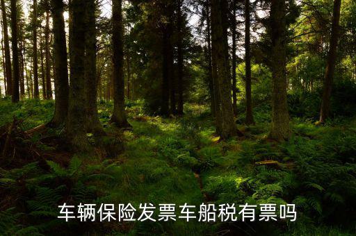 車船稅有什么票，車船稅交完是否有票