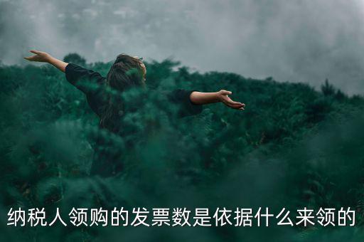 為什么領(lǐng)票人是納稅人，發(fā)票領(lǐng)購(gòu)簿上的章子與納稅人名稱(chēng)不一樣是怎么回事