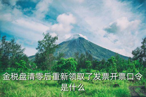 金稅盤(pán)清零后重新領(lǐng)取了發(fā)票開(kāi)票口令是什么