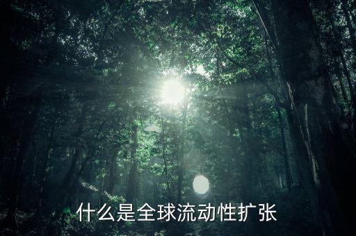 什么叫非居民風險，為什么歐洲央行負債資金來源于非居民