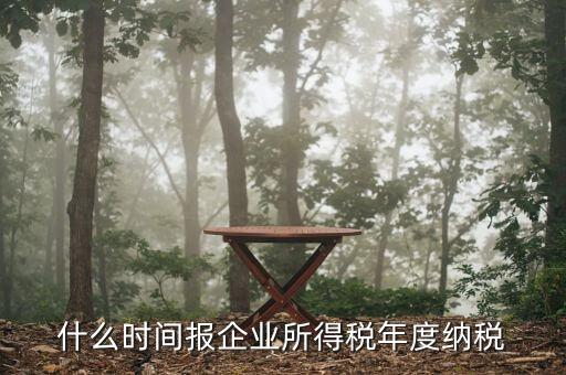 什么時間報(bào)企業(yè)所得稅年度納稅