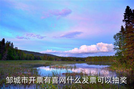 發(fā)票兌獎(jiǎng)用什么軟件，現(xiàn)在餐飲發(fā)票想?yún)⒓佣纬楠?jiǎng)應(yīng)該怎么做呀