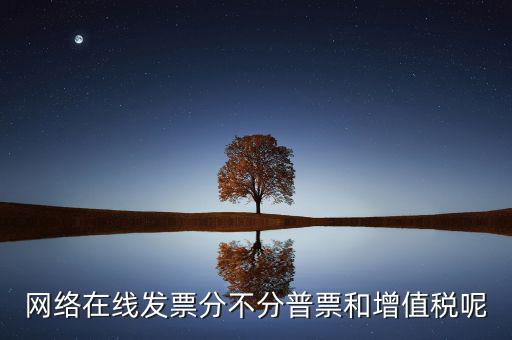 在線發(fā)票是什么，網(wǎng)絡在線發(fā)票分不分普票和增值稅呢