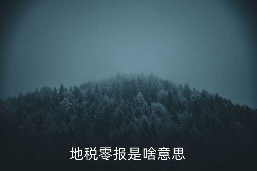 陜西什么是地稅0申報，陜西地稅0申報怎么報
