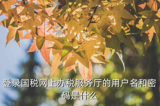 江蘇國稅電子稅務(wù)局登錄用戶名是什么，江蘇國稅網(wǎng)上辦稅服務(wù)廳的用戶名是什么
