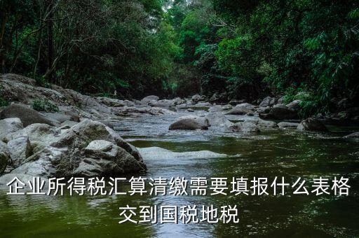 匯算清繳填寫什么表格，請(qǐng)教關(guān)于企業(yè)所得稅匯算清繳中需要填寫的表格的一些問題