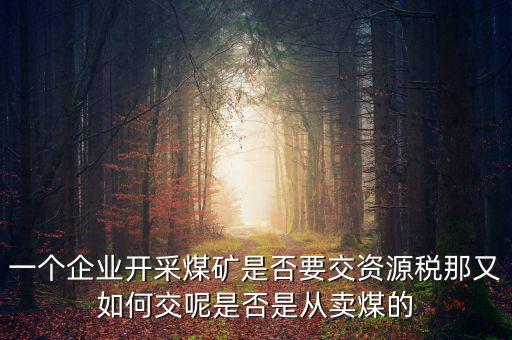 煤在什么環(huán)節(jié)征資源稅，煤礦資源稅稅率