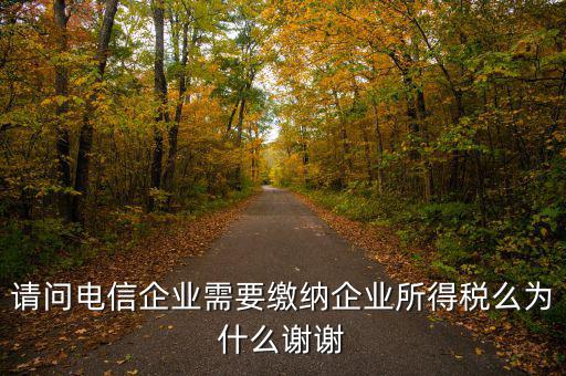 電信服務(wù)交什么稅，請(qǐng)問電信企業(yè)需要繳納企業(yè)所得稅么為什么謝謝