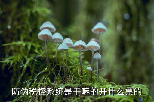 什么是稅控系統(tǒng)數(shù)據(jù)，金稅盤是什么