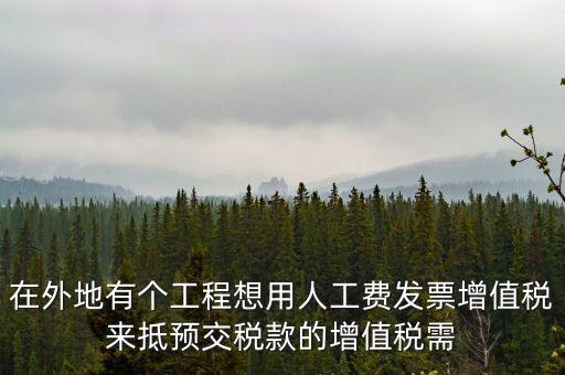 在外地有個(gè)工程想用人工費(fèi)發(fā)票增值稅來(lái)抵預(yù)交稅款的增值稅需
