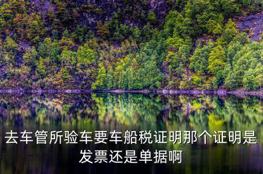 車船納稅證明是什么，車船稅證明是什么是購置稅嗎