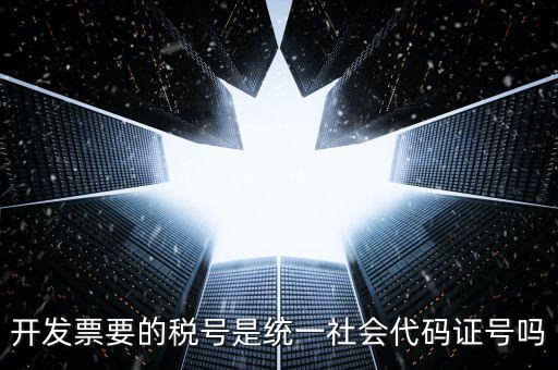 開(kāi)發(fā)票要的稅號(hào)是統(tǒng)一社會(huì)代碼證號(hào)嗎