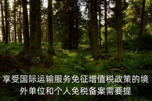享受國際運(yùn)輸服務(wù)免征增值稅政策的境外單位和個人免稅備案需要提
