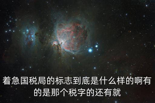 稅優(yōu)識別碼是什么樣的，納稅人辨認(rèn)號和代碼是1樣的