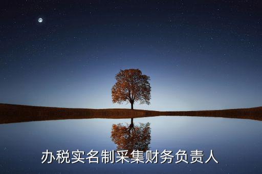 什么是實名辦稅，辦稅實名制采集財務負責人
