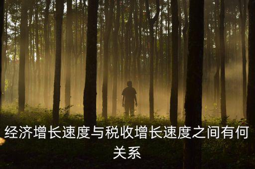 稅收增速是什么，經(jīng)濟增長速度與稅收增長速度之間有何關(guān)系