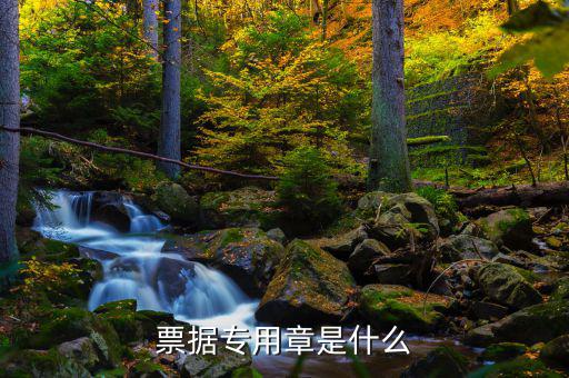 發(fā)票專用章上都有什么，發(fā)票長條章上面都有什么內(nèi)容