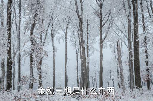 金稅三期雙軌是什么意思，金稅三期是什么意思