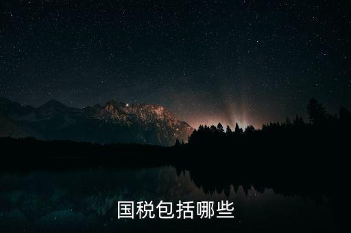 國(guó)稅綜合業(yè)務(wù)指什么，國(guó)稅包括哪些