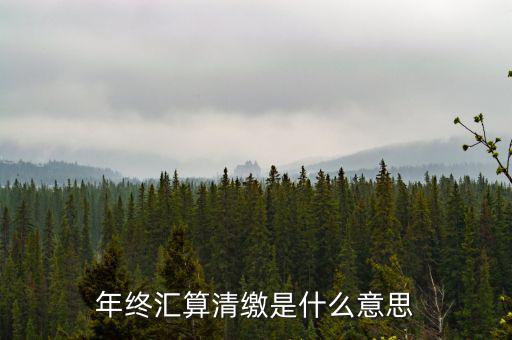 什么是企業(yè)匯算清繳，為什么年底要進行企業(yè)所得匯算清繳