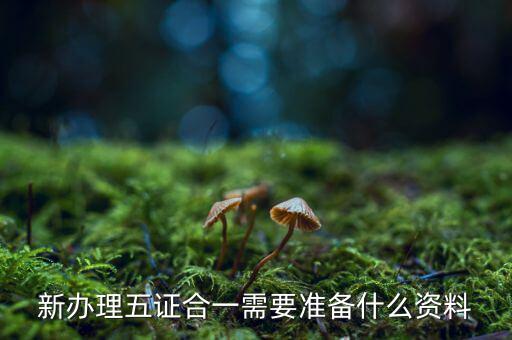 稅務(wù)五證合一需要什么資料，五證合一后稅務(wù)變更需要什么資料