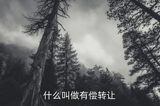有償轉(zhuǎn)移安置什么意思，有償轉(zhuǎn)發(fā)什么意思