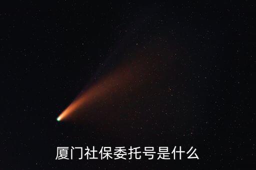 地稅社保委托號是什么，三證合一后去地稅局打社保單子說是與社保局的納稅人識別號不一