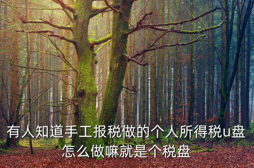 繳個稅用什么盤申報(bào)，個人所得稅報(bào)盤怎么弄