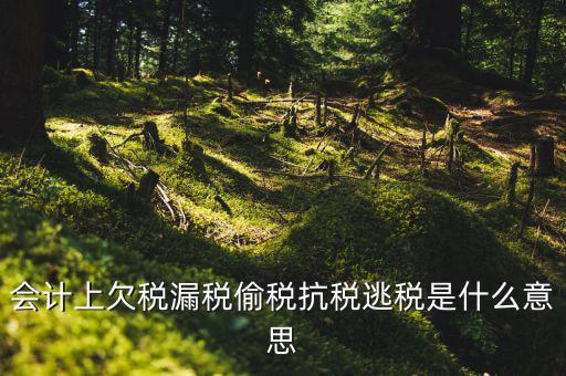 欠繳稅額是什么意思，增值稅申報表第26欄實收出口開具專用繳款書退稅額指的是什么