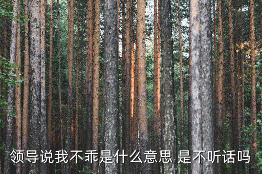 領(lǐng)導(dǎo)說(shuō)我不乖是什么意思 是不聽(tīng)話(huà)嗎