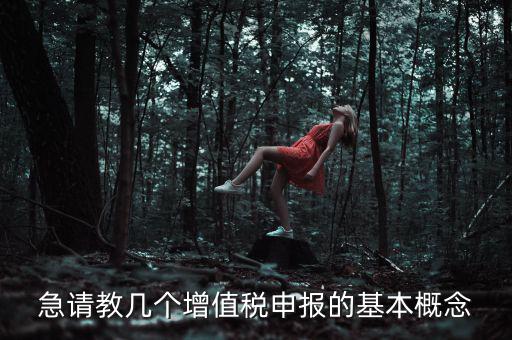 增值稅申報(bào)是什么意思，增值稅申報(bào)什么意思