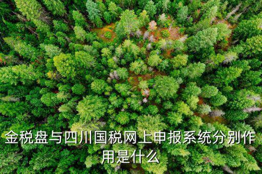 金稅盤的作用是什么，請問現(xiàn)在國稅局換的金稅盤主要的作用是什么