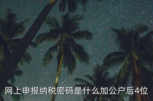 網(wǎng)上如何申報(bào)國稅密碼是什么，國稅第一次網(wǎng)上申報(bào)的登陸密碼是什么