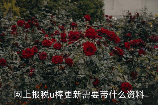 稅務(wù)u棒長(zhǎng)什么樣，網(wǎng)上報(bào)稅u棒更新需要帶什么資料