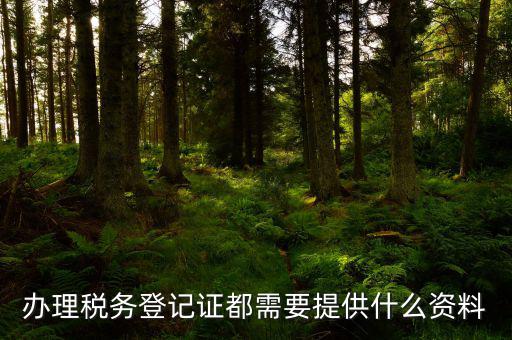 辦理稅務(wù)登記需要什么資料，辦理稅務(wù)登記證都需要提供什么資料