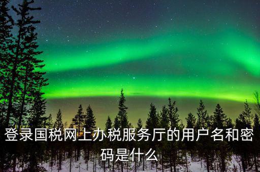 登錄國(guó)稅網(wǎng)上辦稅服務(wù)廳的用戶(hù)名和密碼是什么