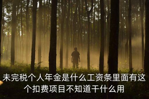 個(gè)稅年金是什么，未完稅個(gè)人年金是什么工資條里面有這個(gè)扣費(fèi)項(xiàng)目不知道干什么用