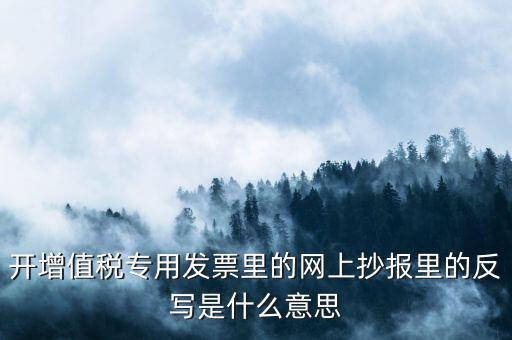 開票系統(tǒng)反寫是什么意思，開增值稅專用發(fā)票里的網(wǎng)上抄報(bào)里的反寫是什么意思