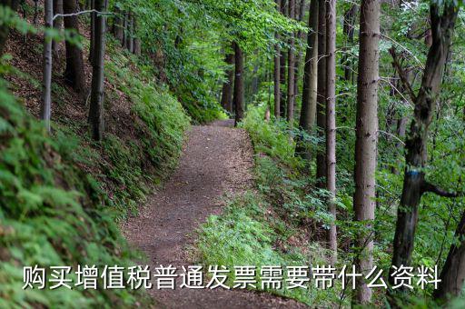購(gòu)買(mǎi)增值稅普通發(fā)票需要帶什么資料