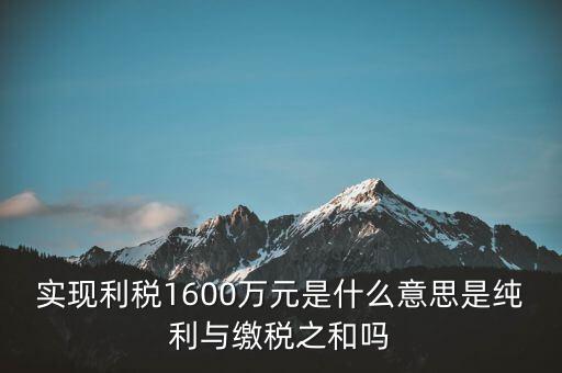實時繳稅是什么意思，實時扣稅務請求3001什么意思
