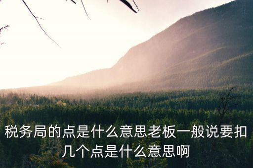稅務(wù)局是什么意思，國稅局的具體解釋是什么