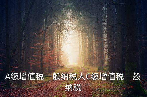 b級(jí)納稅人是什么意思，A級(jí)增值稅一般納稅人C級(jí)增值稅一般納稅