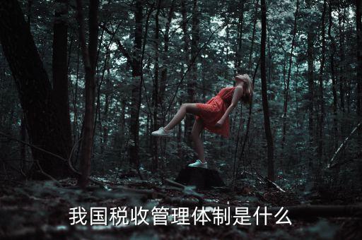 我國(guó)稅收管理體制是什么