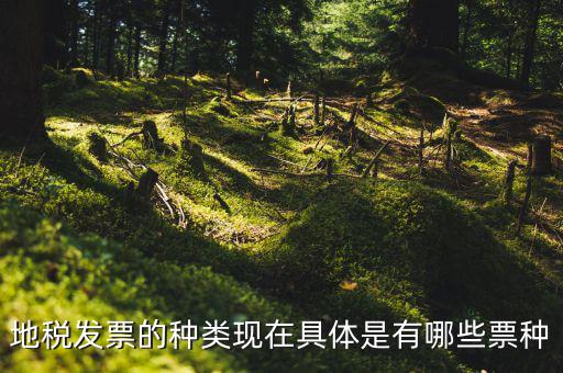 地稅發(fā)票的種類(lèi)現(xiàn)在具體是有哪些票種