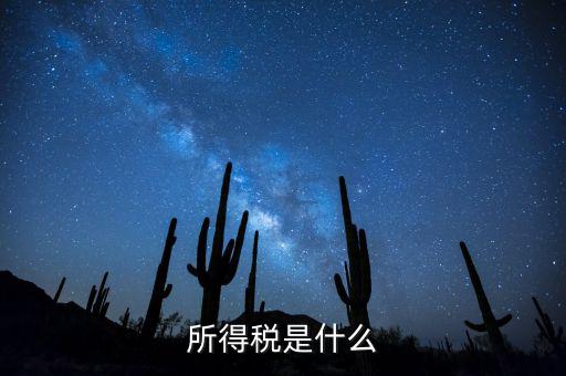 什么是額外所得稅，所得稅是什么