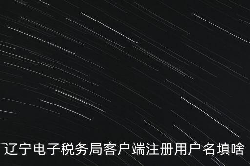 網(wǎng)上辦稅帳號是什么，登錄國稅網(wǎng)上辦稅服務(wù)廳的用戶名和密碼是什么