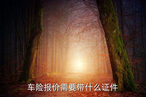 車輛保險專票需要什么，車險報價需要帶什么證件