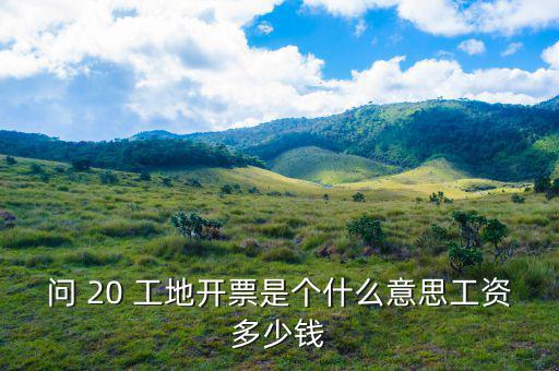 開票界面是指什么意思，會(huì)計(jì)的開票是什么意思