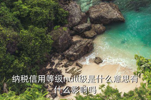 納稅信用等級(jí)是什么，納稅信用等級(jí)null級(jí)是什么意思有什么影響嗎