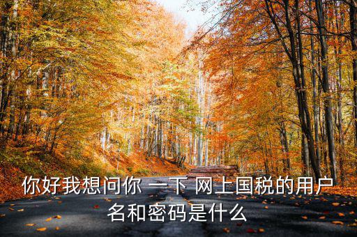 國(guó)稅登陸名和密碼是什么意思，國(guó)稅第一次網(wǎng)上申報(bào)的登陸密碼是什么